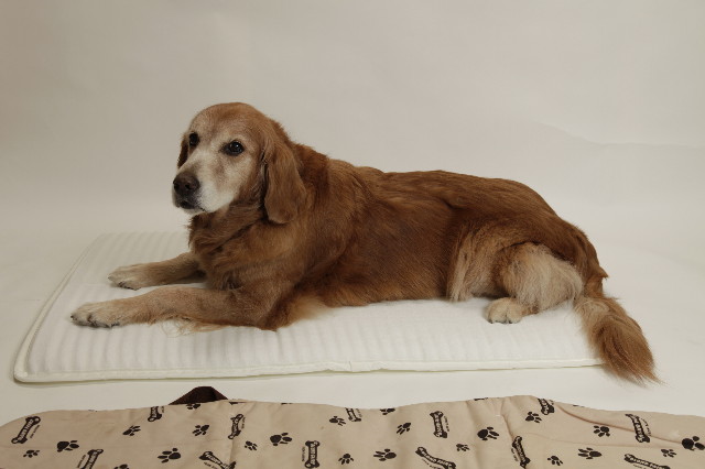 ファイル 2123-1.jpg