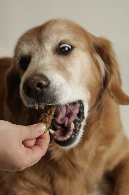 ファイル 2123-4.jpg