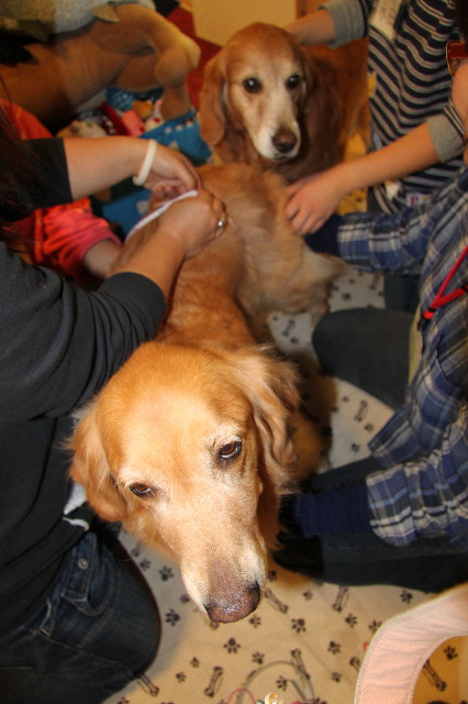 ファイル 2124-2.jpg