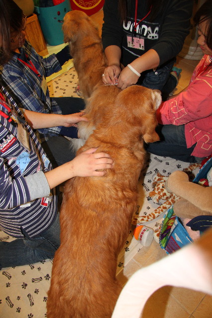 ファイル 2124-3.jpg