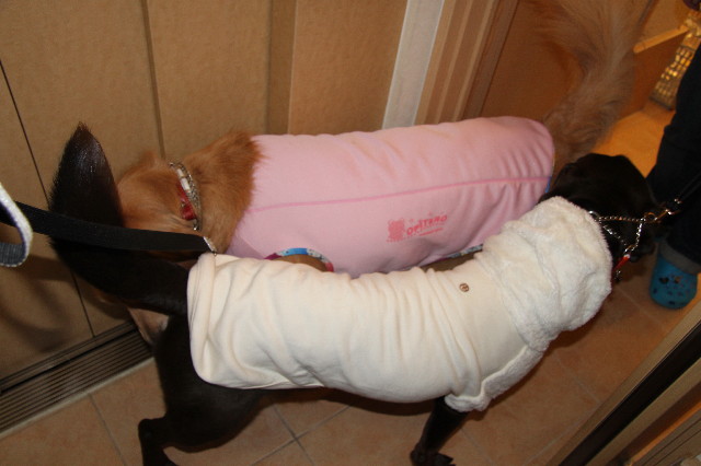 ファイル 2125-2.jpg