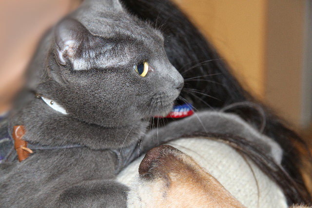 ファイル 2125-5.jpg