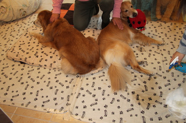 ファイル 2127-1.jpg