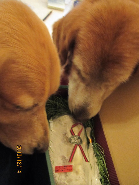 ファイル 2128-2.jpg