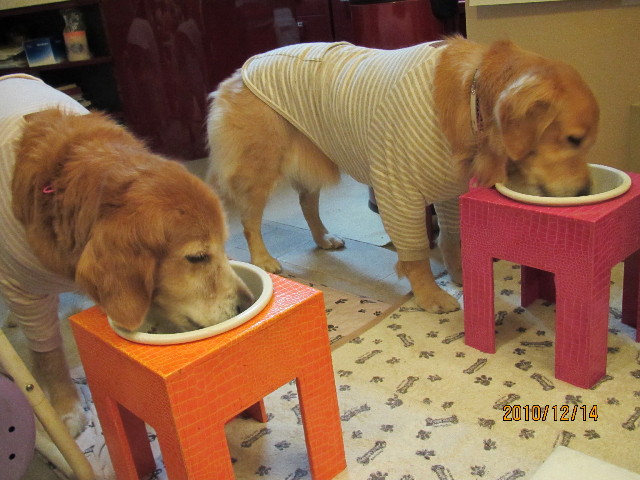 ファイル 2128-3.jpg