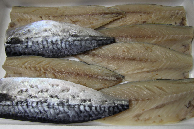 ファイル 2129-1.jpg