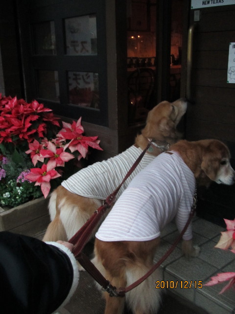 ファイル 2129-4.jpg