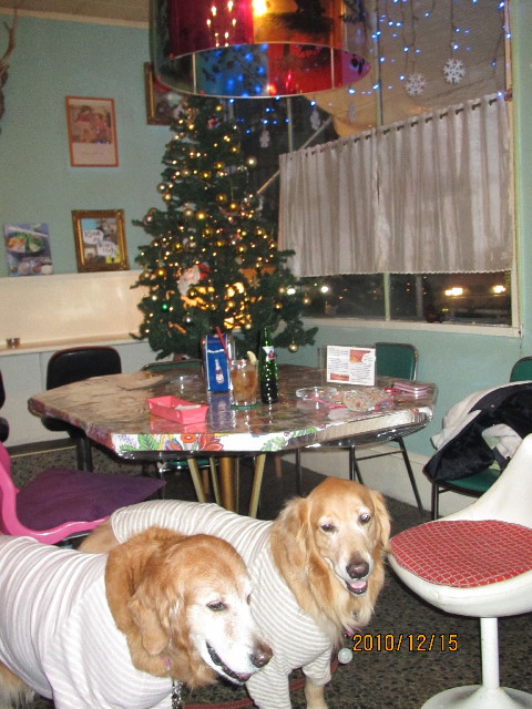 ファイル 2129-5.jpg