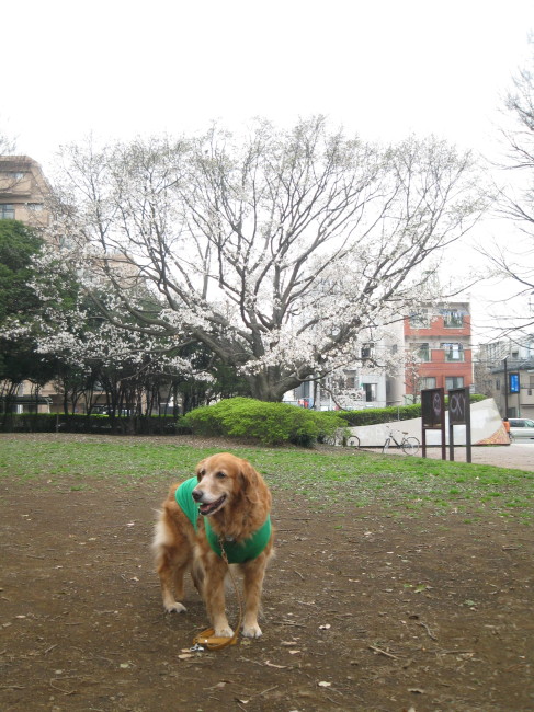 ファイル 213-3.jpg