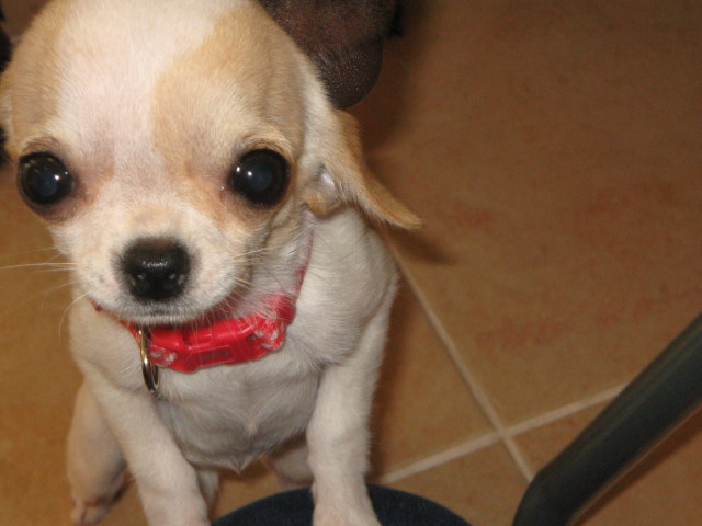 ファイル 213-5.jpg