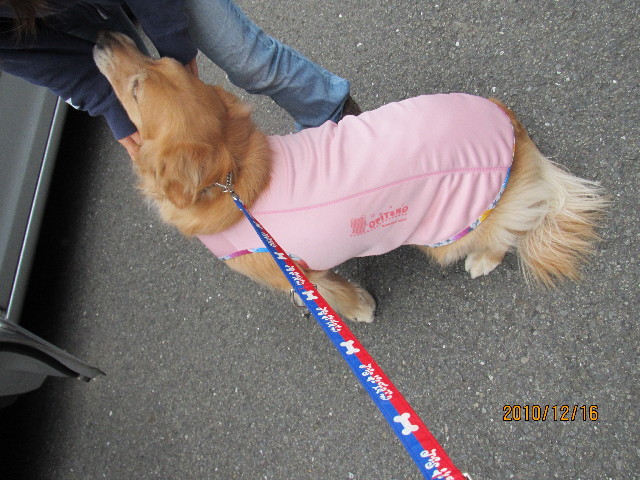 ファイル 2130-1.jpg