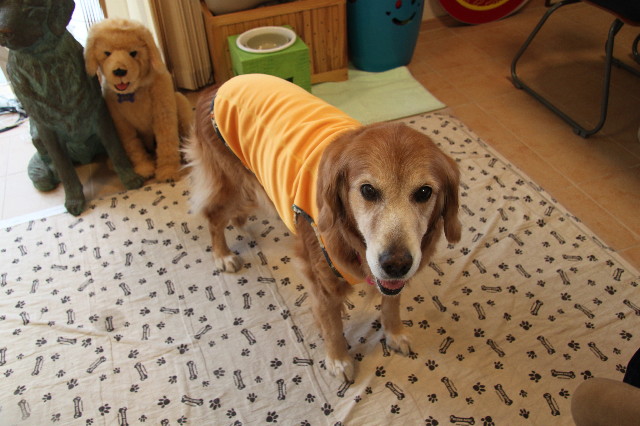 ファイル 2130-5.jpg