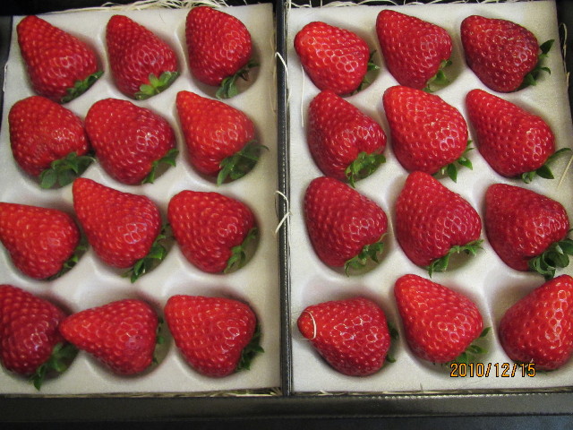 ファイル 2131-1.jpg