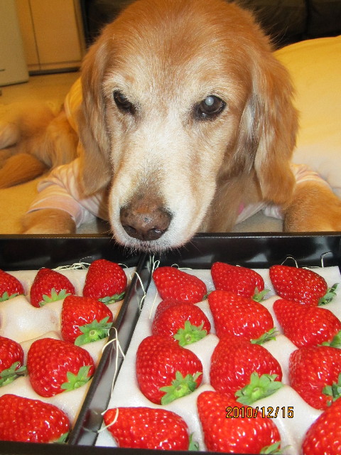 ファイル 2131-2.jpg