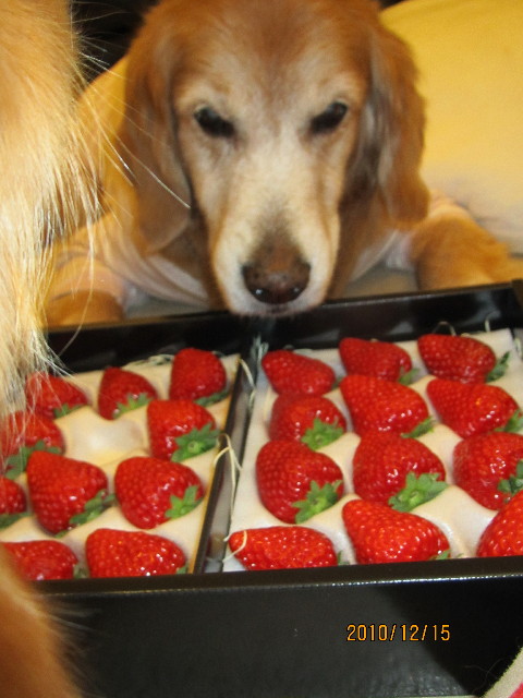 ファイル 2131-3.jpg