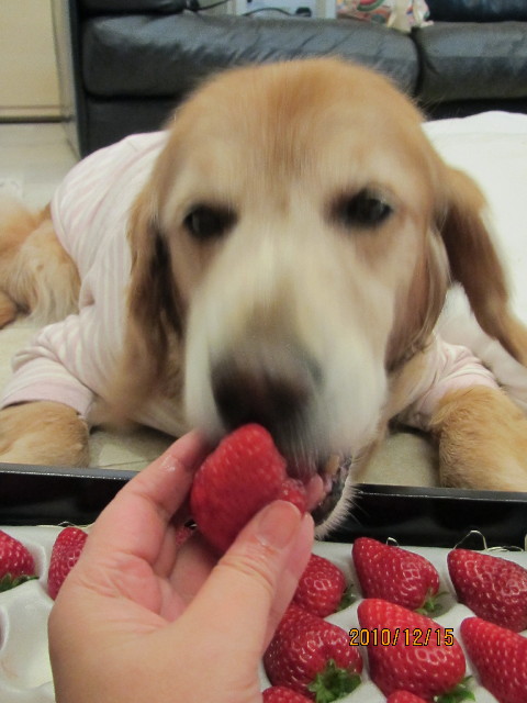 ファイル 2131-5.jpg