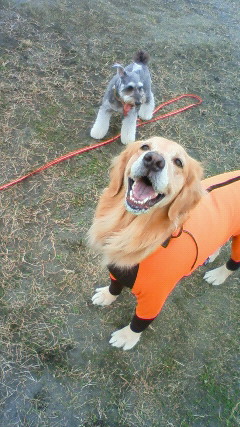 ファイル 2132-1.jpg