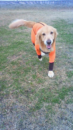 ファイル 2132-3.jpg