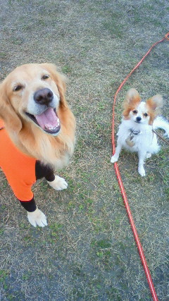 ファイル 2132-4.jpg