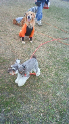 ファイル 2132-5.jpg