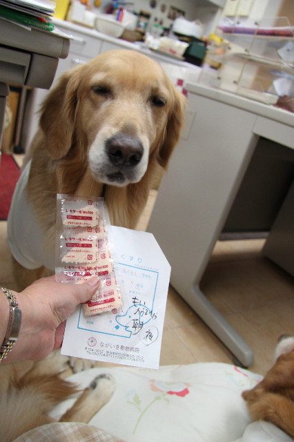 ファイル 2133-4.jpg