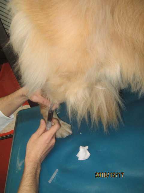 ファイル 2133-5.jpg