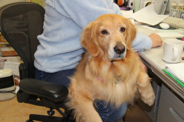 ファイル 2134-4.jpg