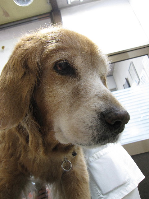 ファイル 2137-2.jpg