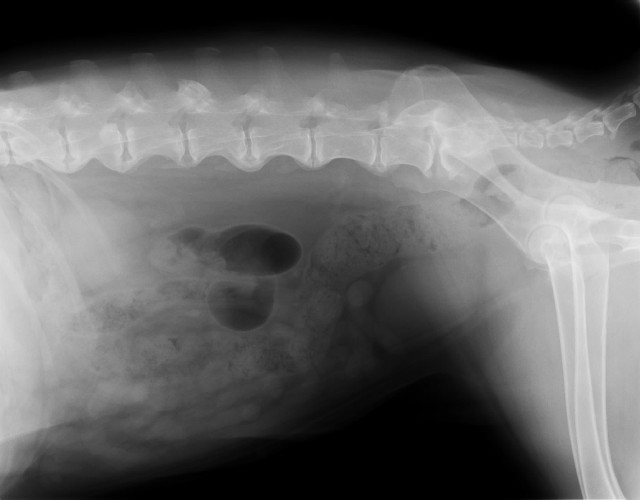 ファイル 2137-5.jpg