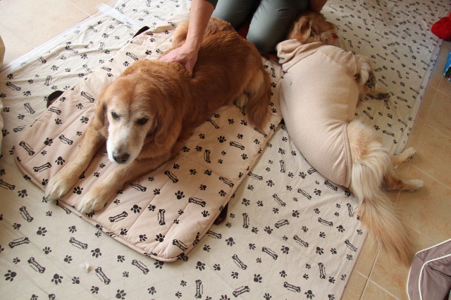 ファイル 2138-2.jpg