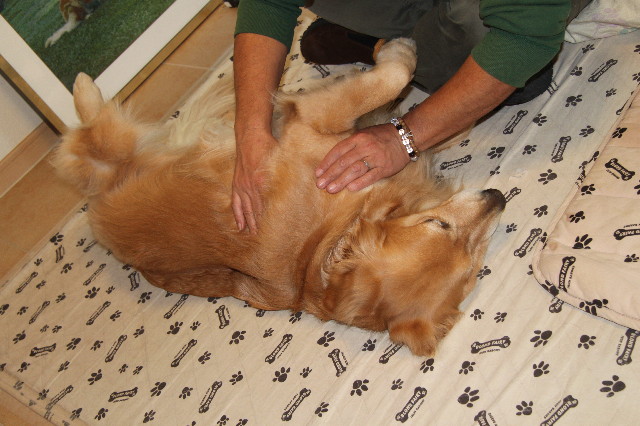 ファイル 2138-4.jpg