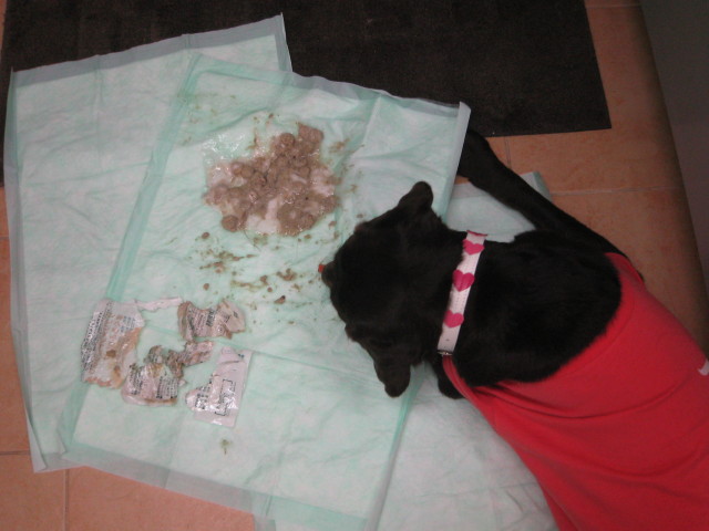 ファイル 214-2.jpg