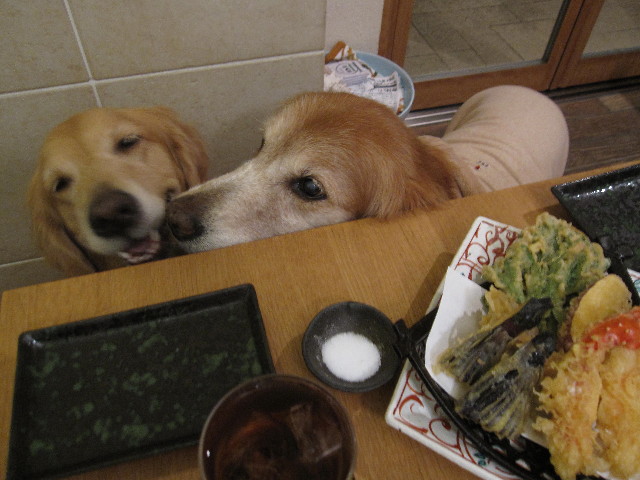 ファイル 2140-5.jpg