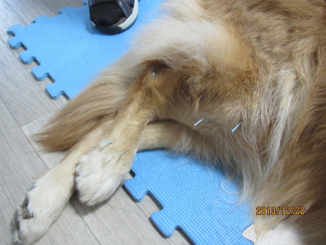 ファイル 2141-2.jpg