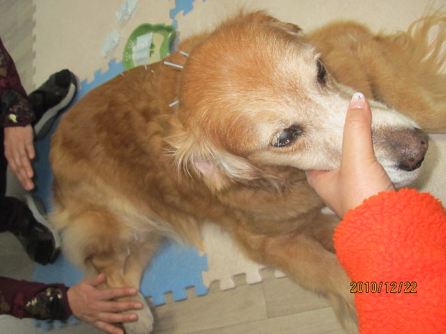 ファイル 2141-3.jpg