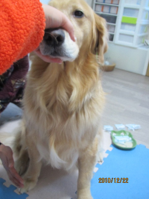 ファイル 2141-4.jpg