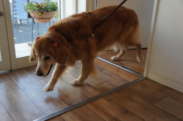 ファイル 2142-1.jpg