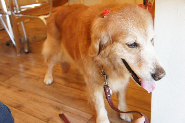 ファイル 2142-2.jpg