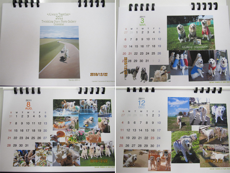 ファイル 2142-3.jpg