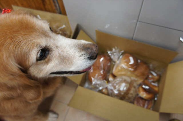 ファイル 2142-5.jpg