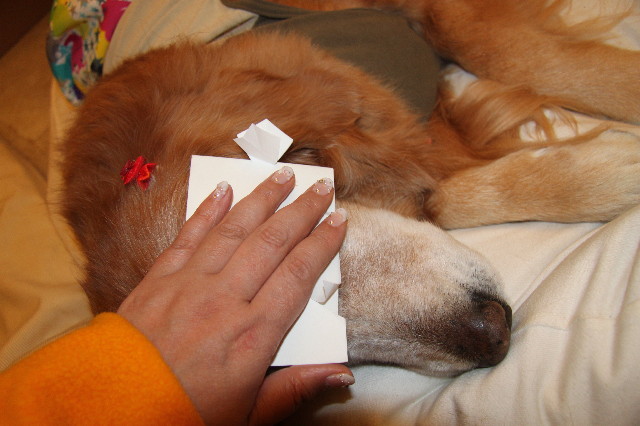 ファイル 2144-3.jpg