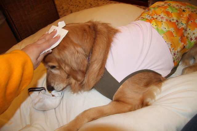 ファイル 2144-4.jpg