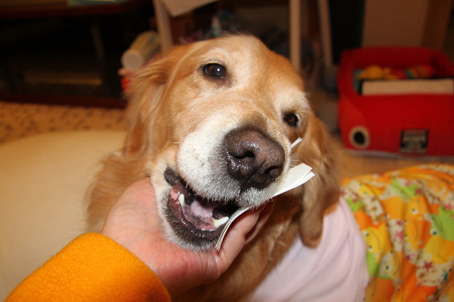 ファイル 2144-5.jpg