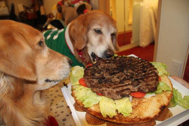 ファイル 2145-4.jpg