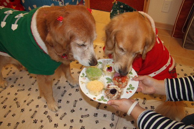 ファイル 2146-3.jpg