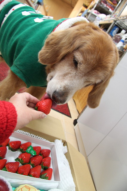 ファイル 2147-3.jpg