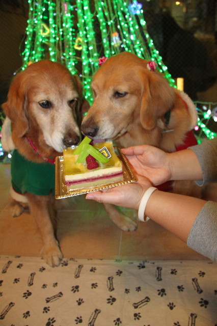 ファイル 2147-4.jpg