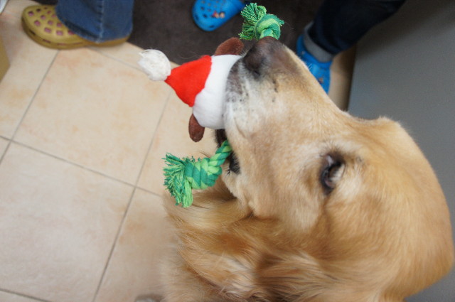 ファイル 2148-2.jpg