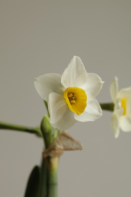 ファイル 2148-4.jpg