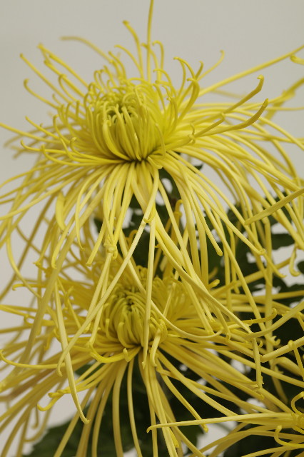 ファイル 2148-5.jpg